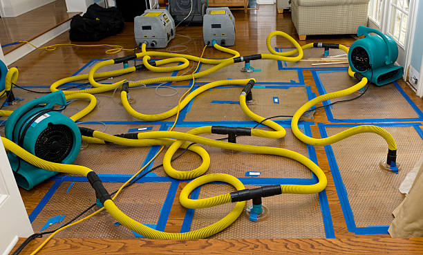 Professional Crawl Space Water Removal technician working in Bartlett, NH